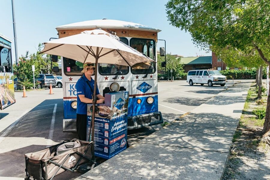 Savannah: Tybee Island Dolphin Tour - What you might wish were different (and how to plan around it)