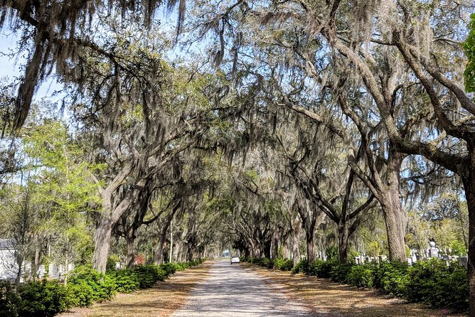 Savannah VIP Tour: Private Full-Day Tour - Wormsloe Historic Site: Noble Jones and the Plantation-Era Story