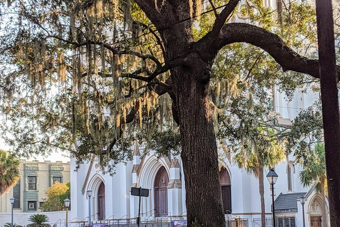 Savannah VIP Tour: Private Full-Day Tour - Tybee Island Light Station: A Strategic Beacon Since 1736