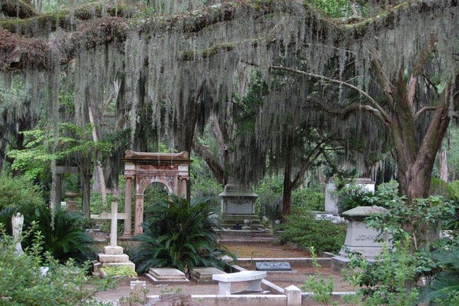 Segway Tour in Historic Bonaventure Cemetery in Savannah - Why Bonaventure Cemetery feels made for a Segway