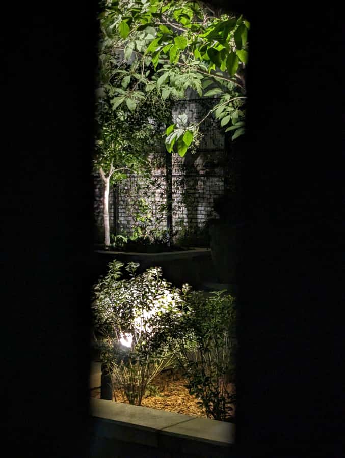 Spirit Xperience: Paranormal Walking Ghost Tour in Savannah - Practical Tips for a Smoother Night Out