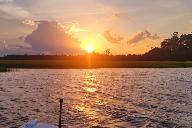 Sunset, Dolphin/Birding On A Private Guided Savannah Cruise - The Marsh-Grass Stretch: Savannah’s Everglades Moment at Sunset