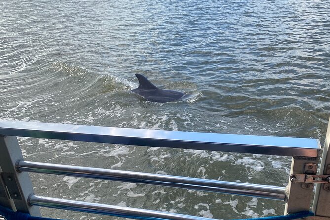 Sunset Dolphin Eco Tour - The Talmadge Memorial Bridge: Under or Away From Savannah’s Port Gateway