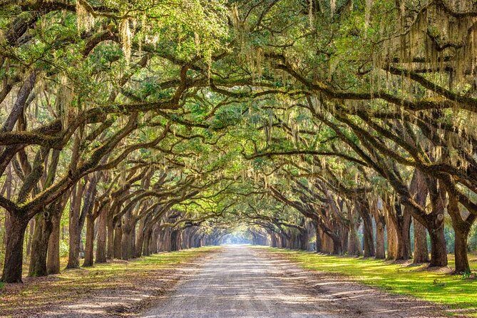 The History Buff: Savannah Walking Tour - Small-Group Energy: How the Guides Keep It Interesting
