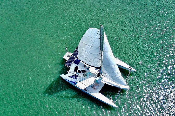 Two Hour Coastal Sailing Cruise - Sunset vs. morning sailing: how the time of day changes the experience