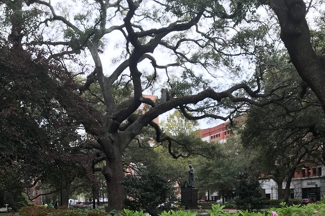 Welcome to Savannah Guided Walking Tour - The Final Walk Into Colonial Park Cemetery: A Strong Ending Point